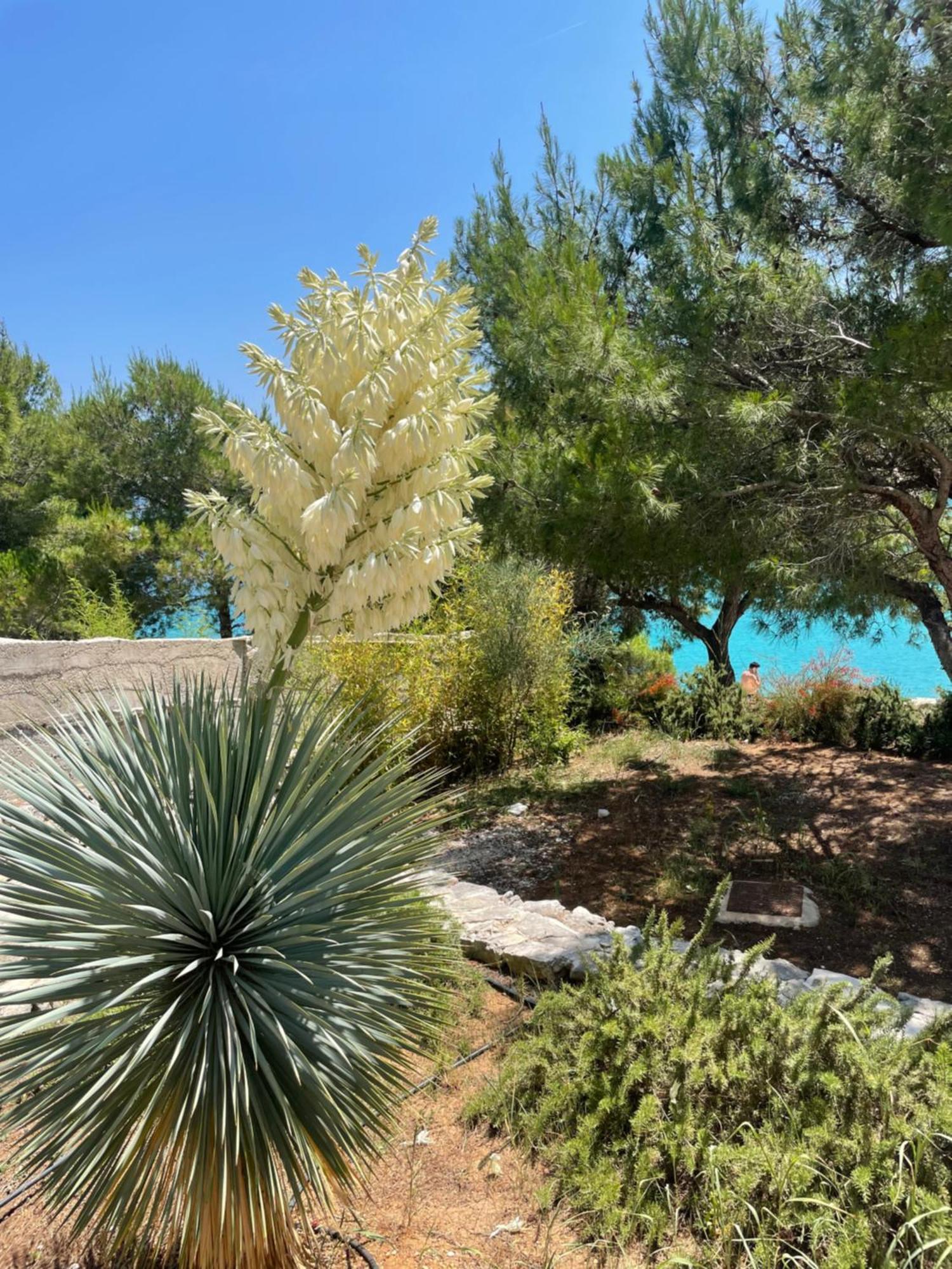 Luxury Villa Kate - In Lucice Bay With Turquoise Sea, Amazing Seaviews, And Heated Pool Милна Екстериор снимка